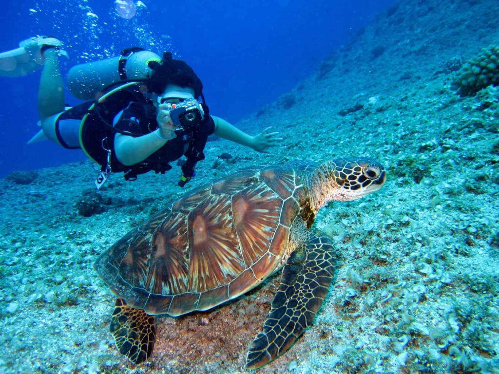 Mejores Deportes Acuáticos en Bali